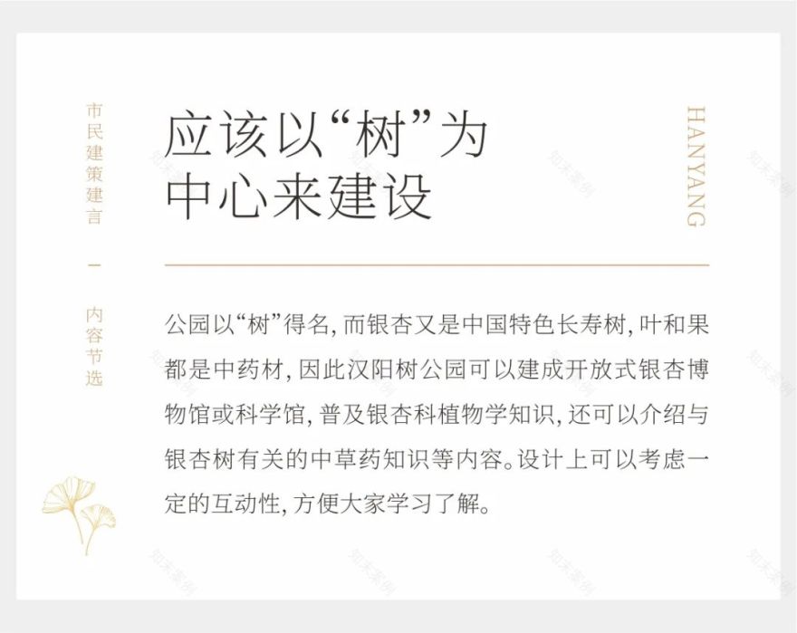 为540岁汉阳树安“新家”,中海守护文化“活化石”-25