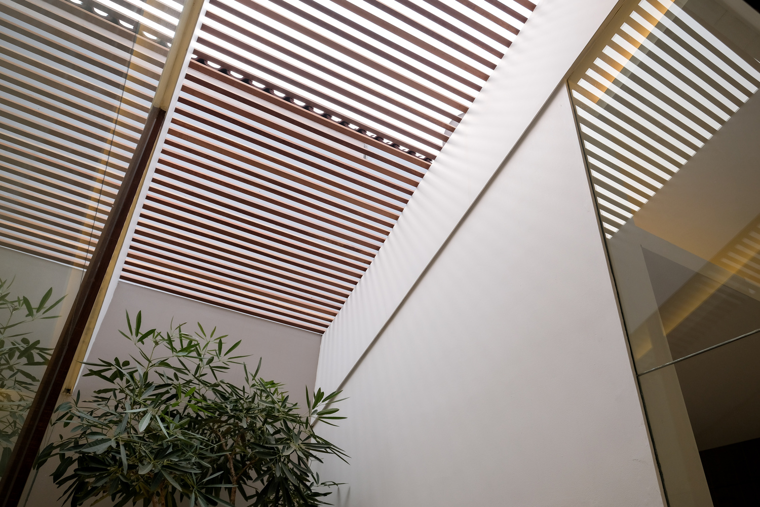 印尼 DG House 自然采光通风设计-35