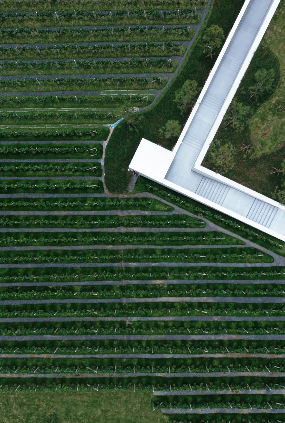 重庆万科璞园丨中国重庆丨WTD纬图设计-12