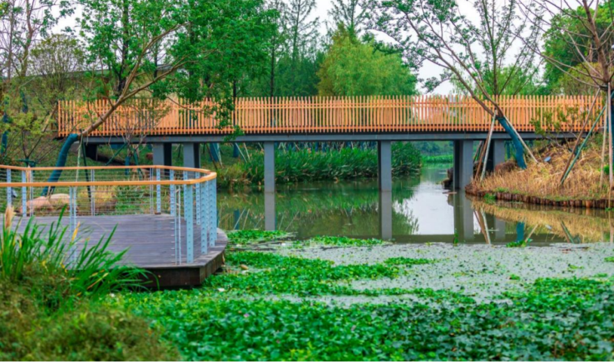 平湖市东方公园工程设计丨中国嘉兴丨中国美院风景建筑设计研究总院-67