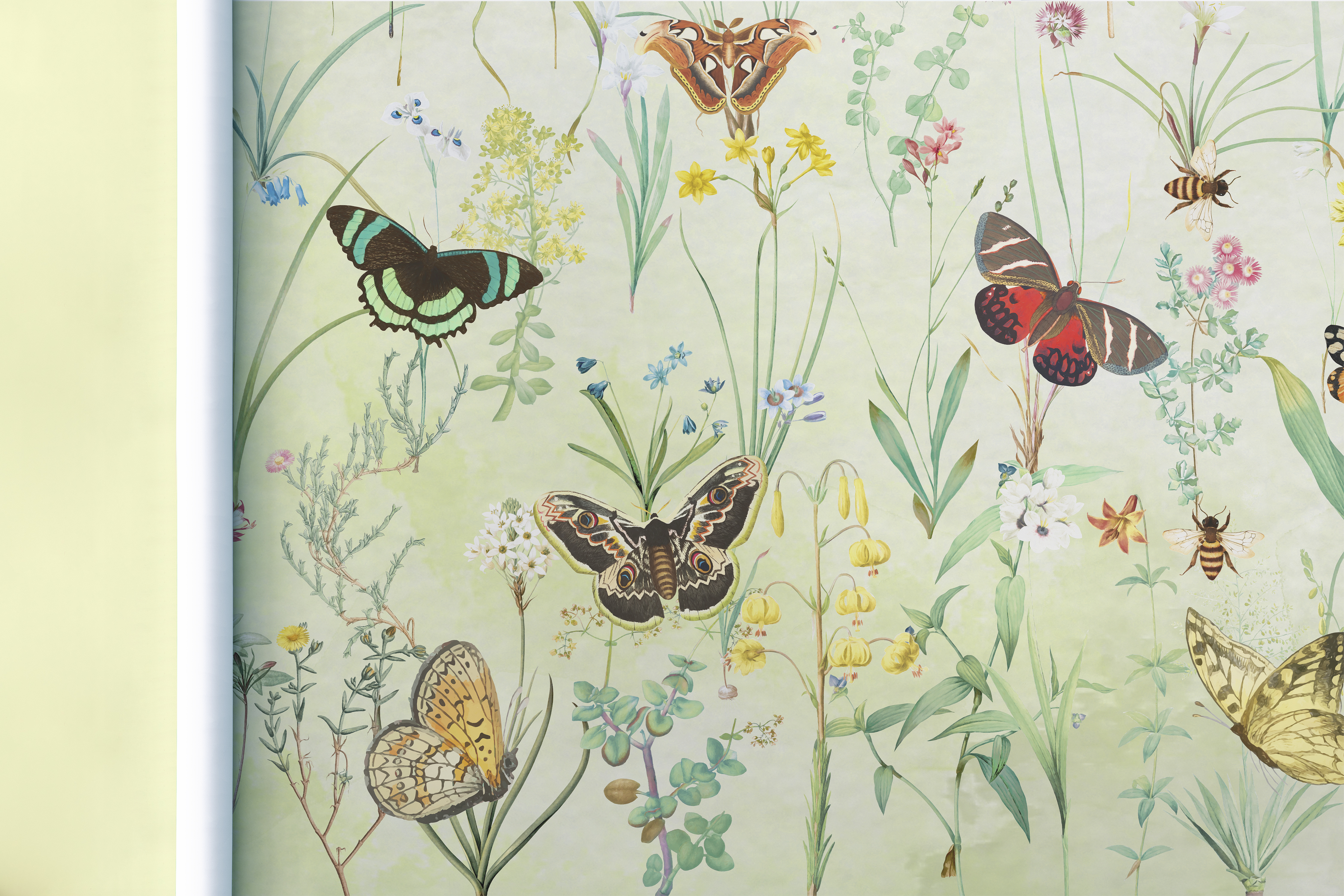 Wallpaper "Herbals and butterflies"-4