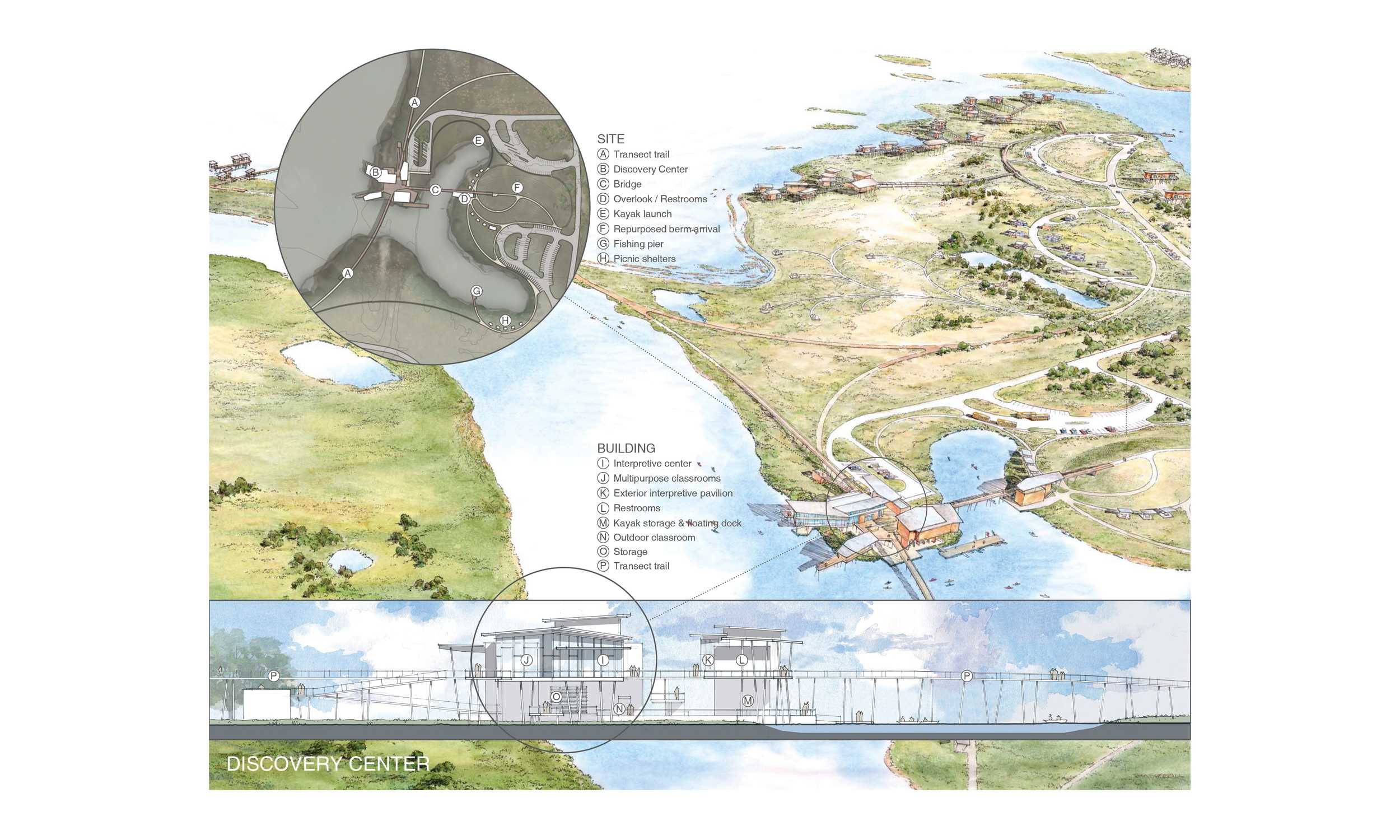 德州加尔维斯顿岛国家生态湿地公园丨美国-10