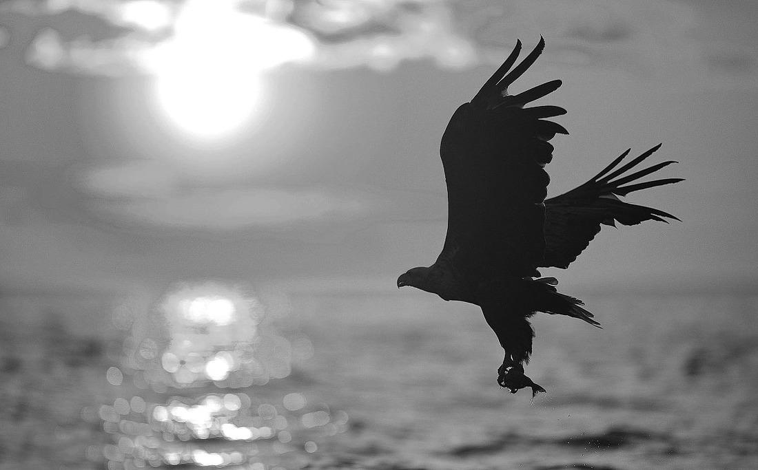 国美·智慧城1200m²体验中心-5