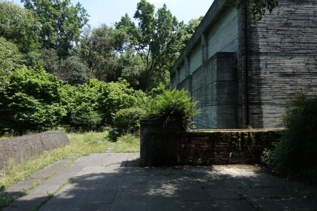 鹿野苑，经验与体验之间丨碎片笔记-81