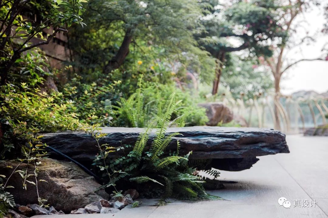 隐于市的百年个性花园——真味花园-96