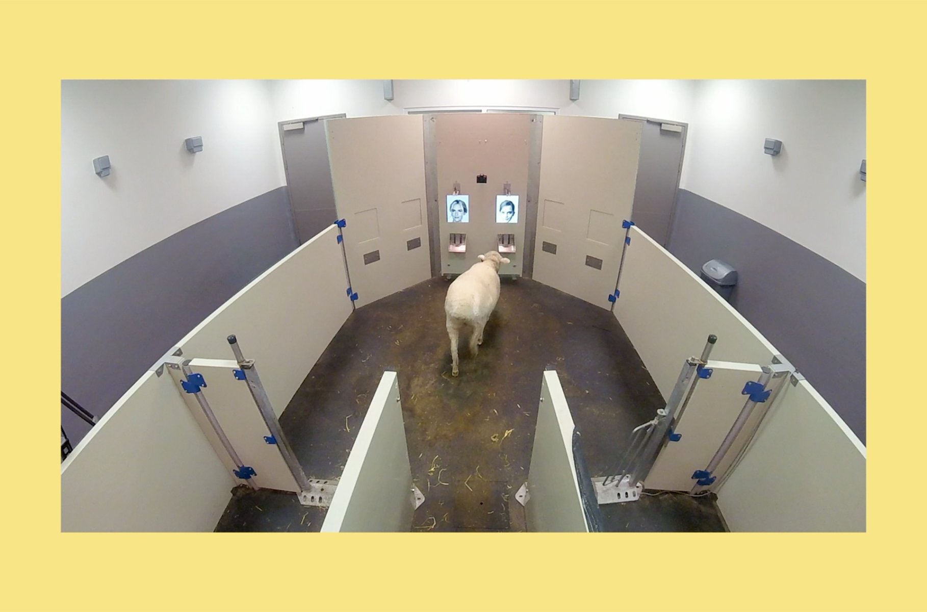 STEDELIJK MUSEUM EXHIBITS FORM丨意大利丨意大利设计工作室-34