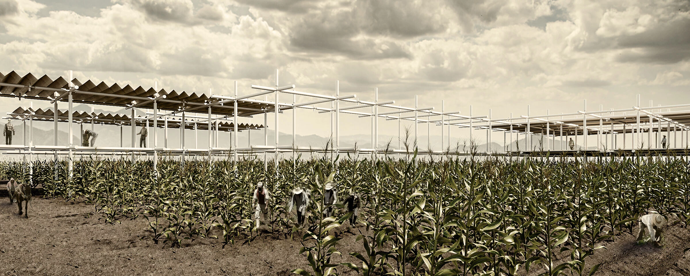 玉米人丨SAVE Arquitectos-8