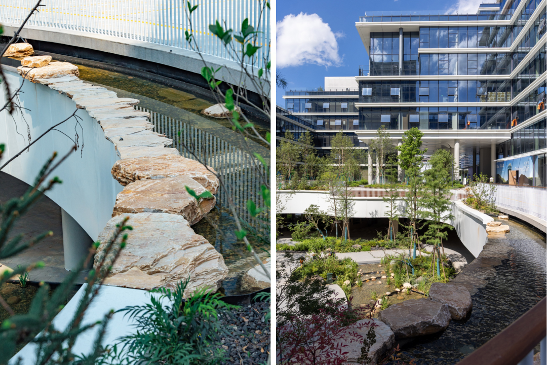 杭州未科阿里中心,亲橙park丨中国杭州丨阿普贝思,J&A杰恩设计,GMP等-53