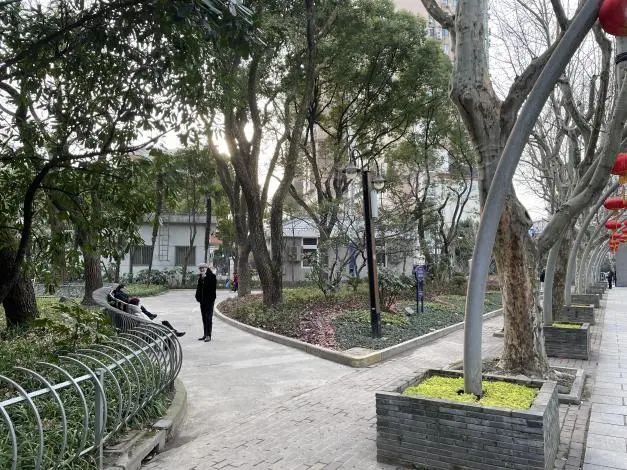 中国园林·理事专栏|“拓”之力量：杨浦公园改造纪实(三)-58