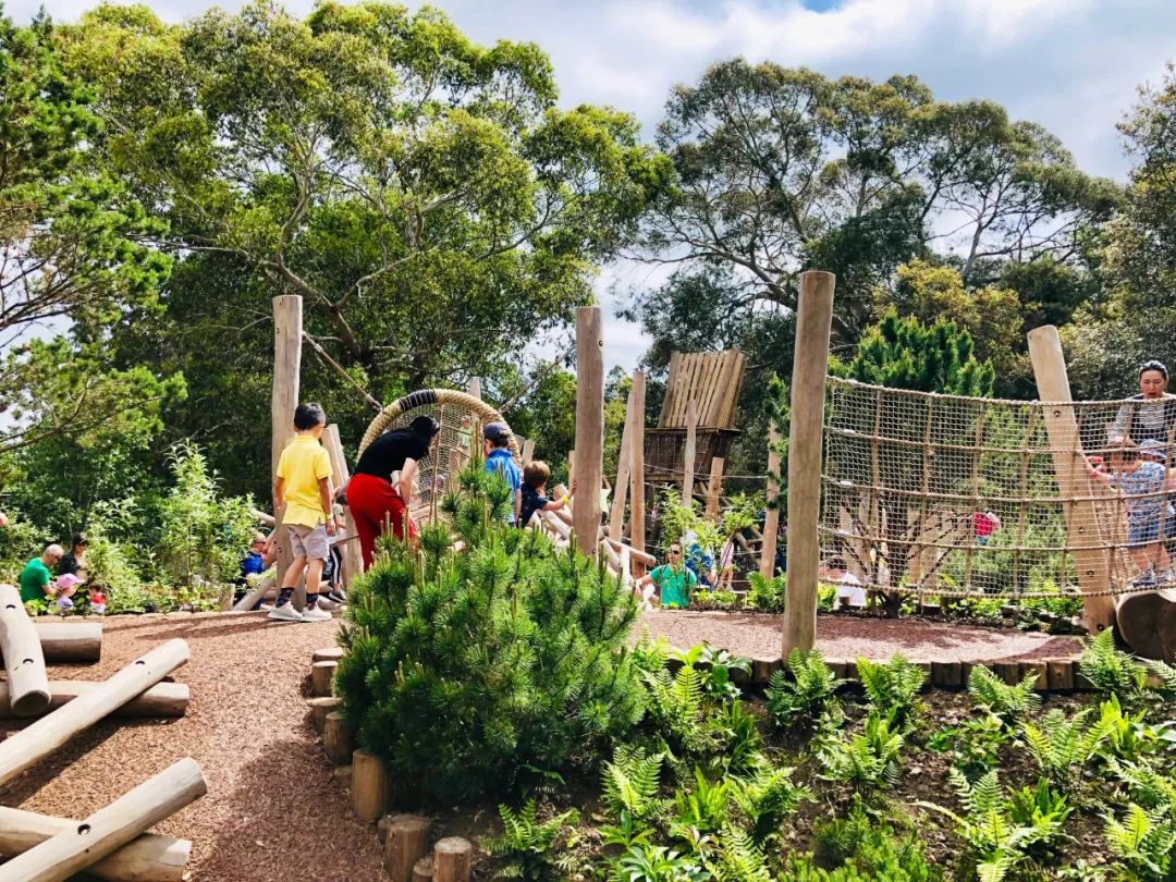 英国皇家植物园儿童花园丨Suzie Jewell-47