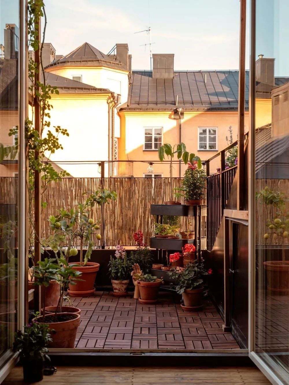 小阳台变身治愈小天地设计-5