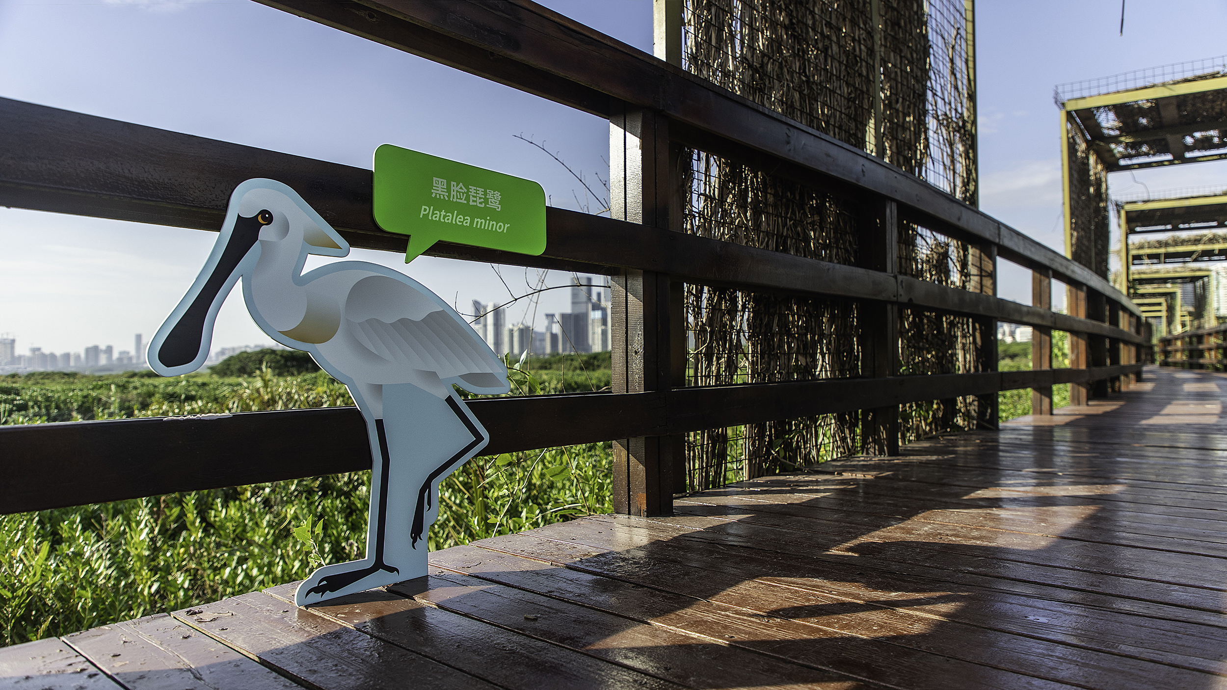 深圳红树林生态公园户外科普互动导视设计丨中国深圳丨共生领域(北京)文化传媒有限公司-28
