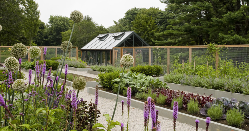 长草地住宅设计-5