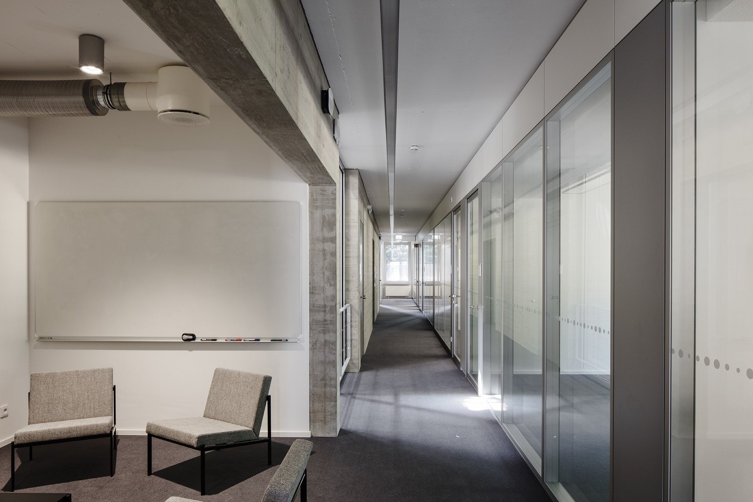 德累斯顿定量生物学研究中心-31