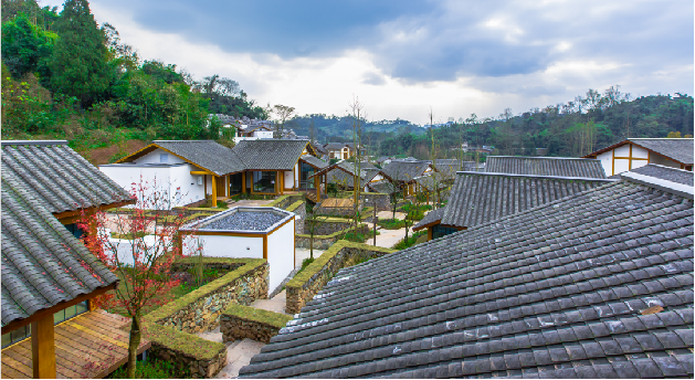 茶源小镇丨中国雅安-5