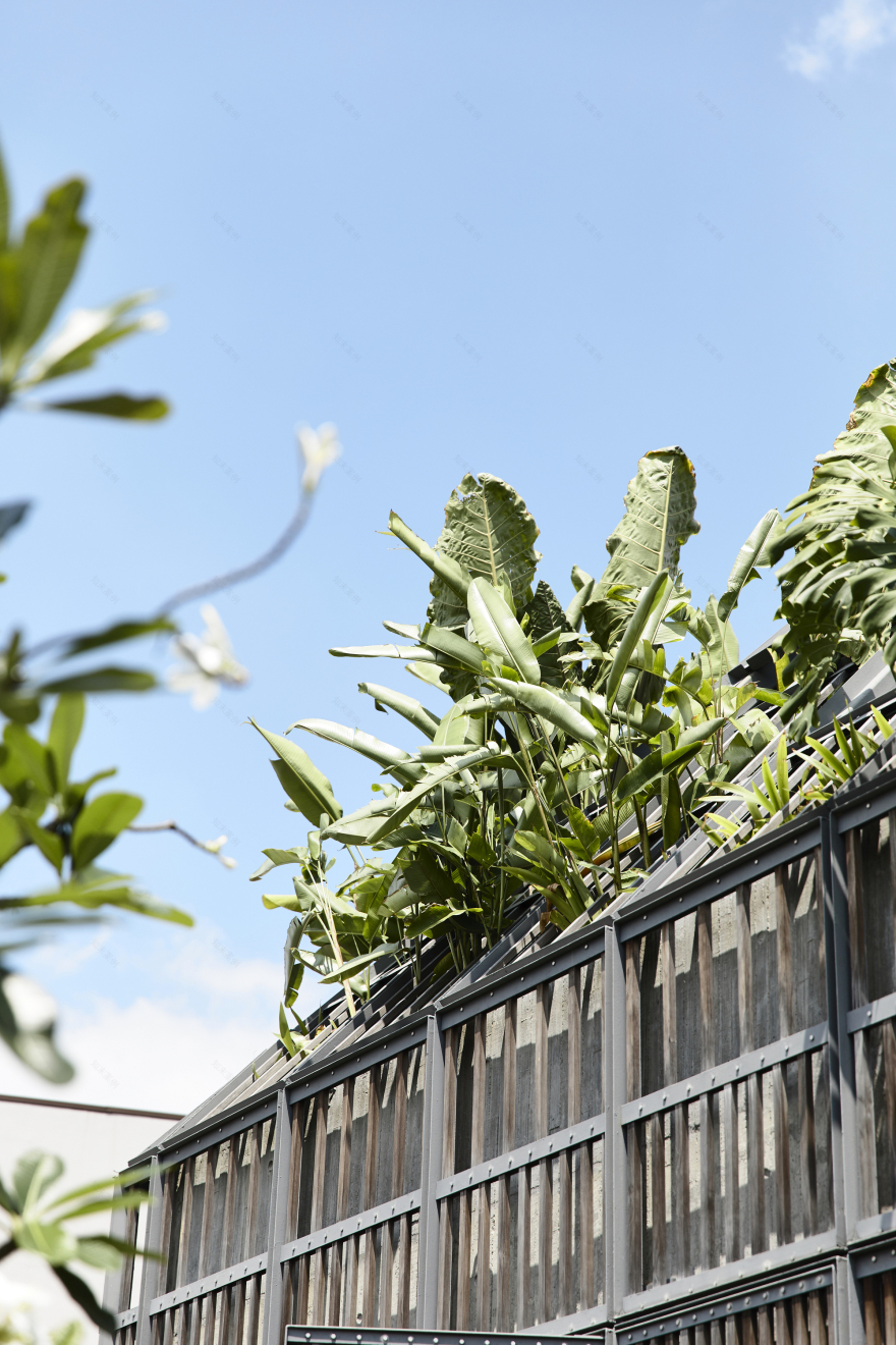 绿意盎然的自然共生别墅-24