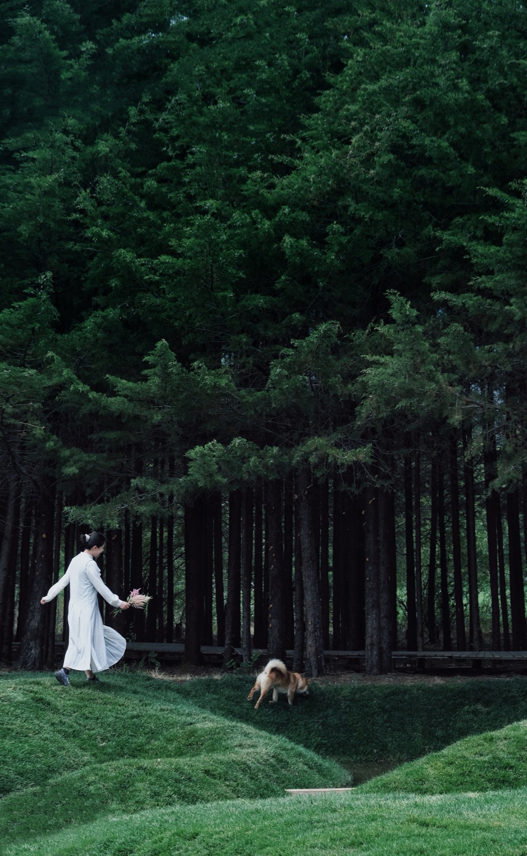 丽江地中海国际度假区·阿美泽雪山营地丨中国丽江丨栖地设计集团-68