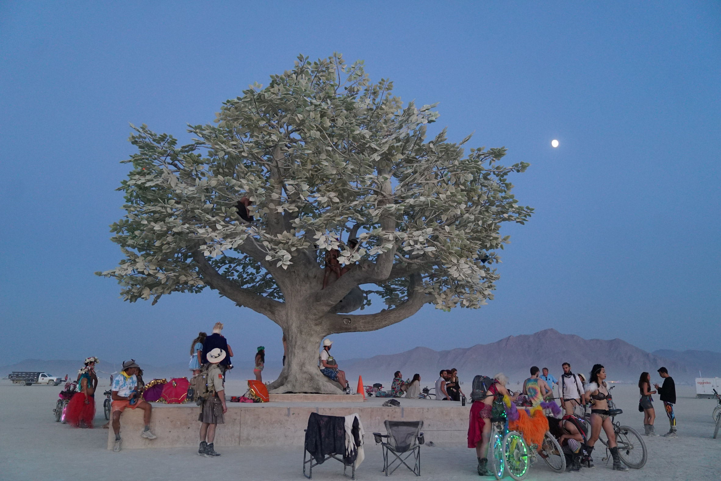 Tree of Ténéré responds to Burning Man attendees with light patterns-11