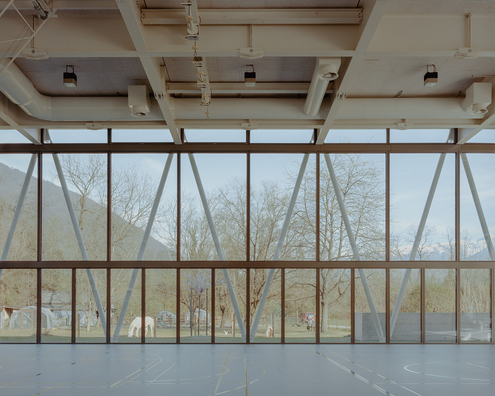 Terre di Pedemonte体育馆丨瑞士丨The Demattè Fontana studio-12