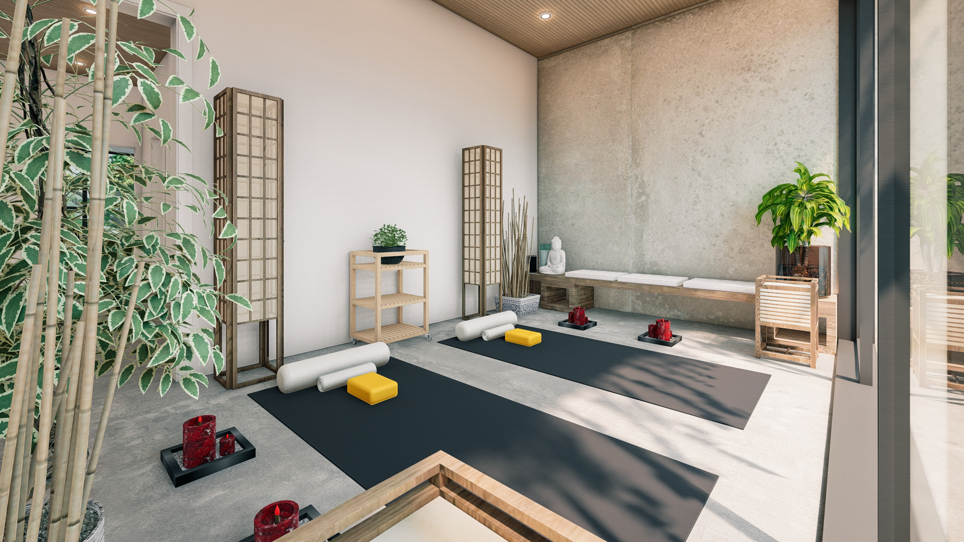 美丽棕榈 58丨哥斯达黎加-21