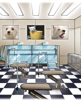 MUZO 狗猫酒店设计