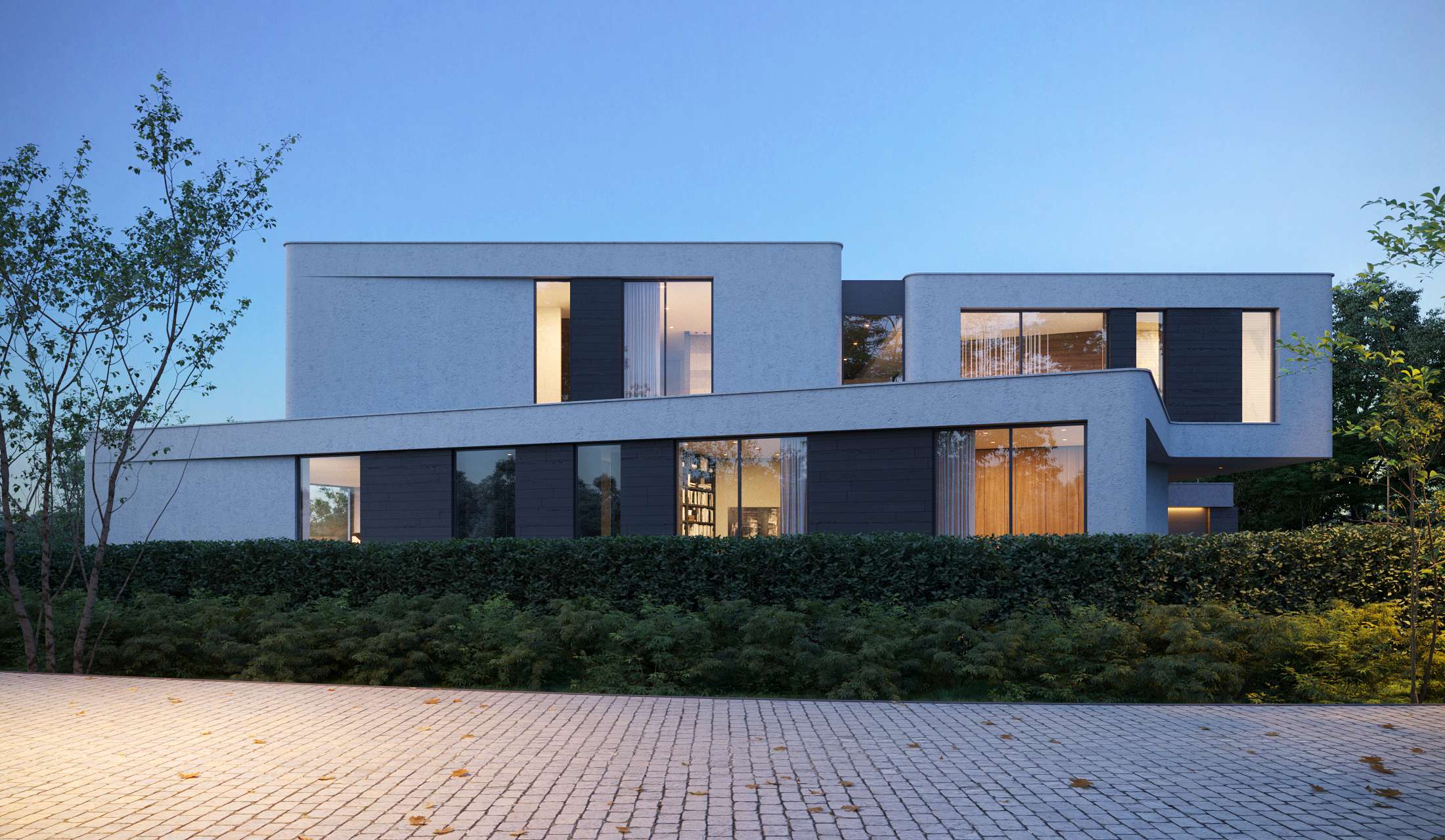 Country house in Dar'ino village Alexandra Fedorova-1