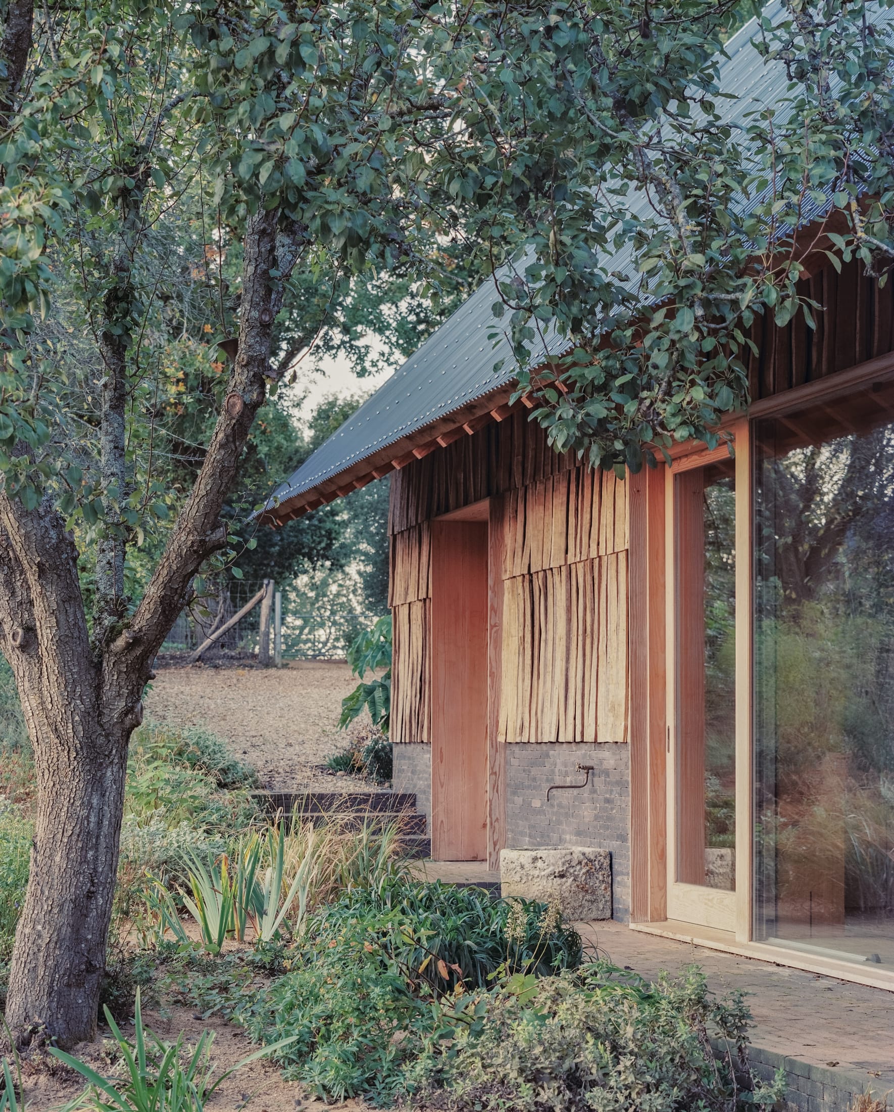 果园丨英国丨Okra-20