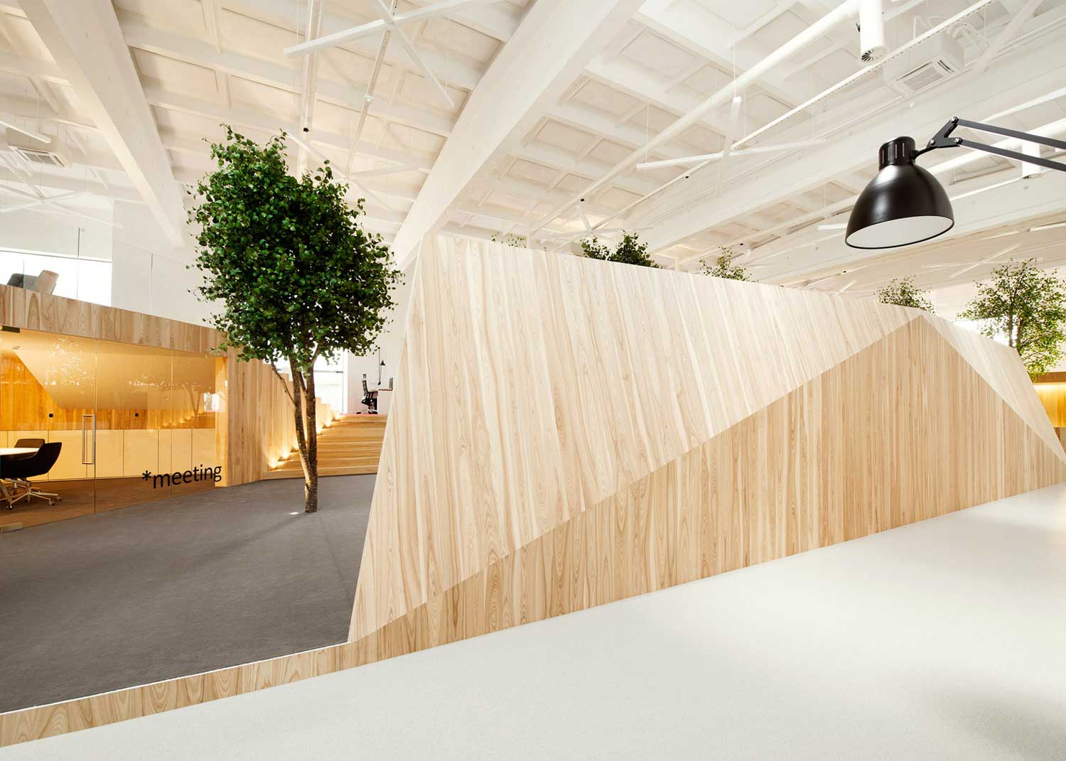 明亮的夏天森林 塔林, 爱沙尼亚-2