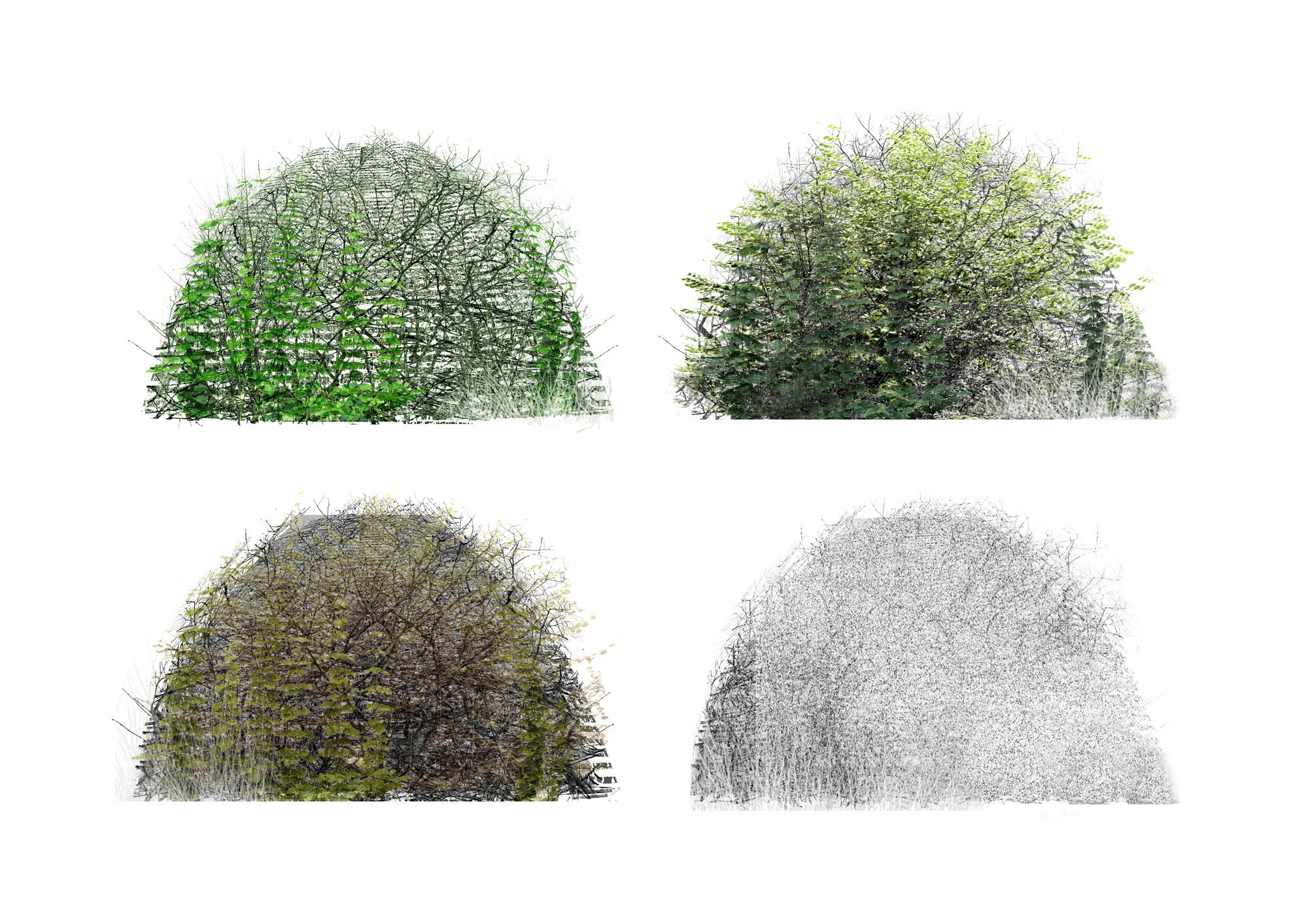蒙特利尔昆虫馆丨加拿大蒙特利尔-45