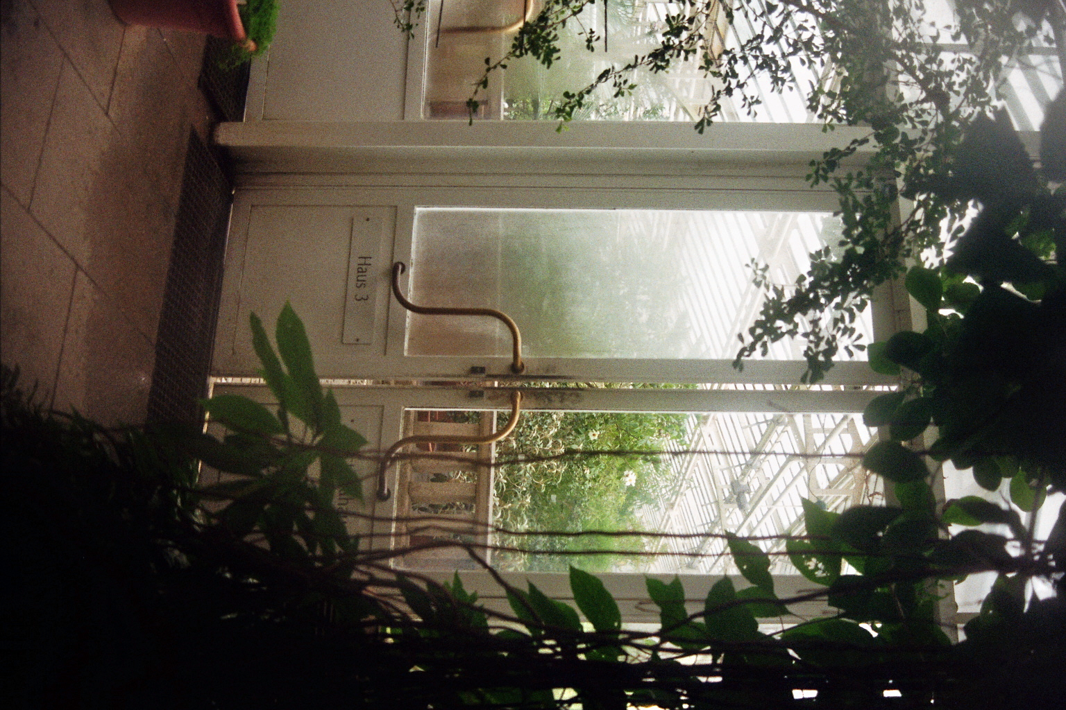 Botanical Gardens on film: A Therapy-5