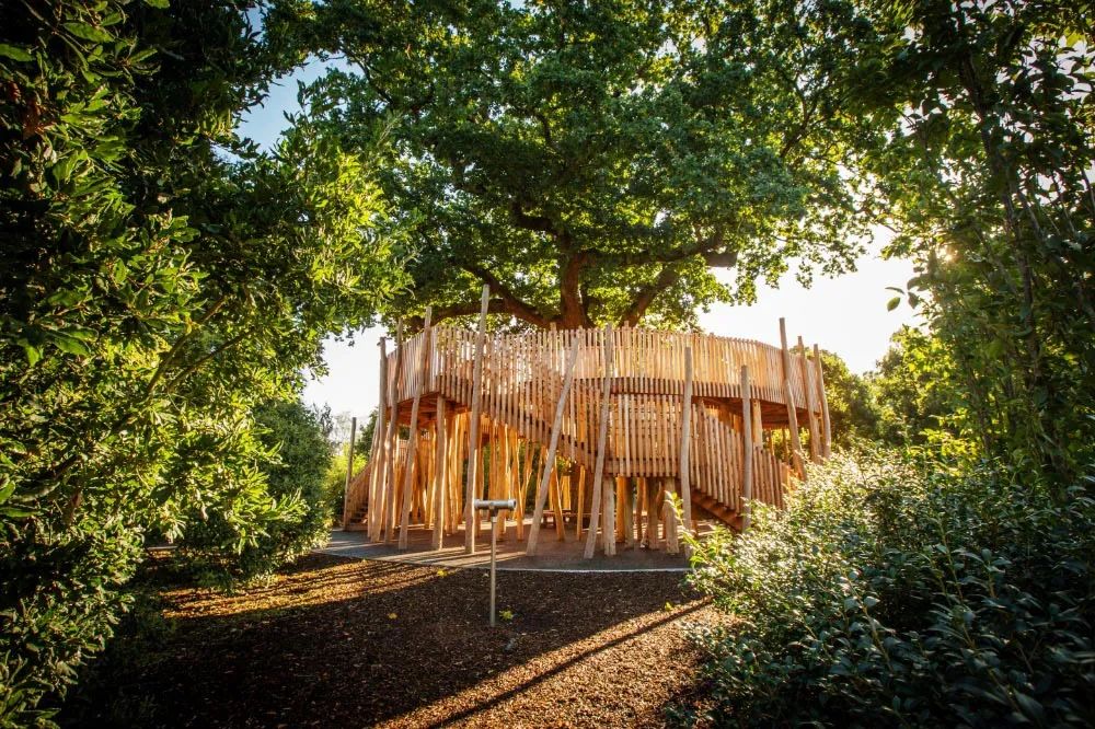 英国皇家植物园儿童花园丨Suzie Jewell-26