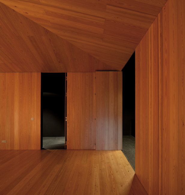 湖畔双砾，葡萄牙 / Aires Mateus-57