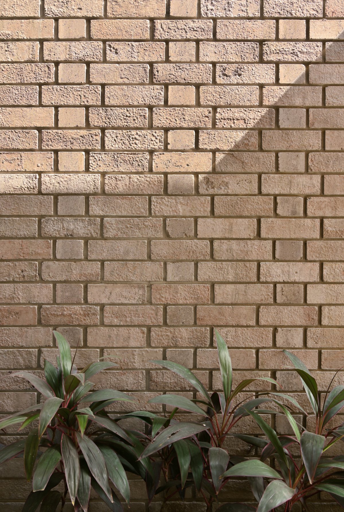 几面墙和一个屋顶丨Interiors:inpractice-2