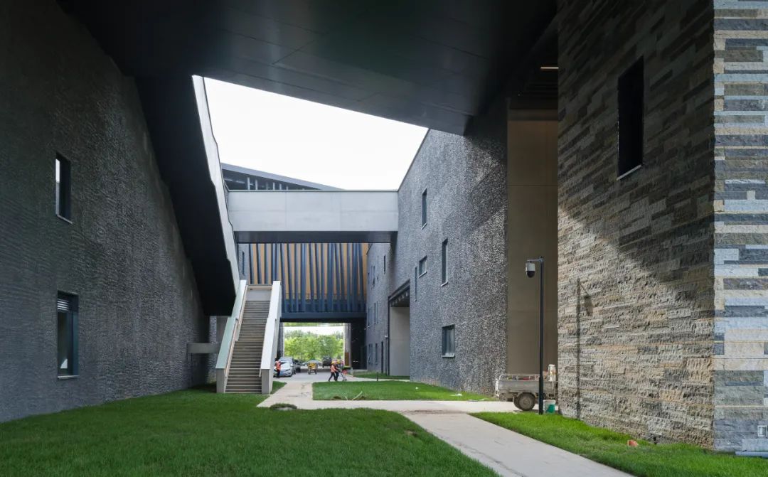 中国古动物馆(保定自然博物馆)丨中国保定丨王澍-18