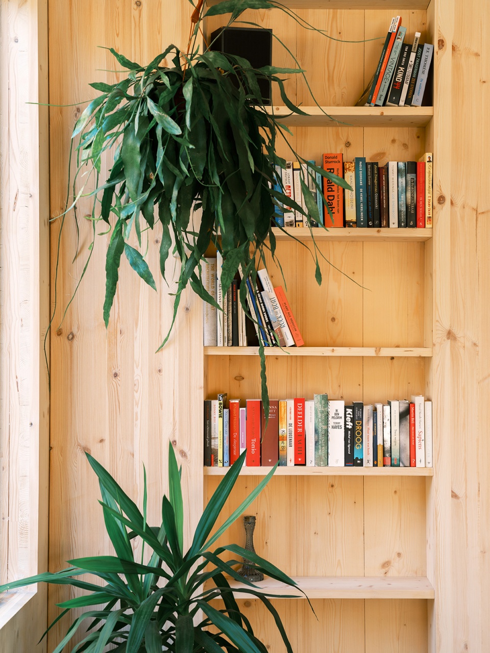 荷兰鹿特丹漂浮住宅，木材与软木打造可持续空间-28