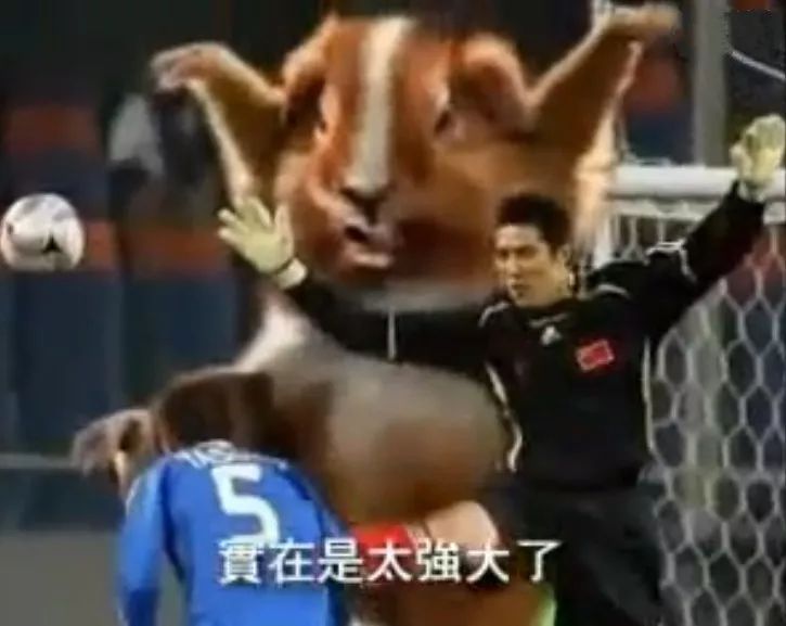 九度设计“甩膘大作战”篮球活动-28