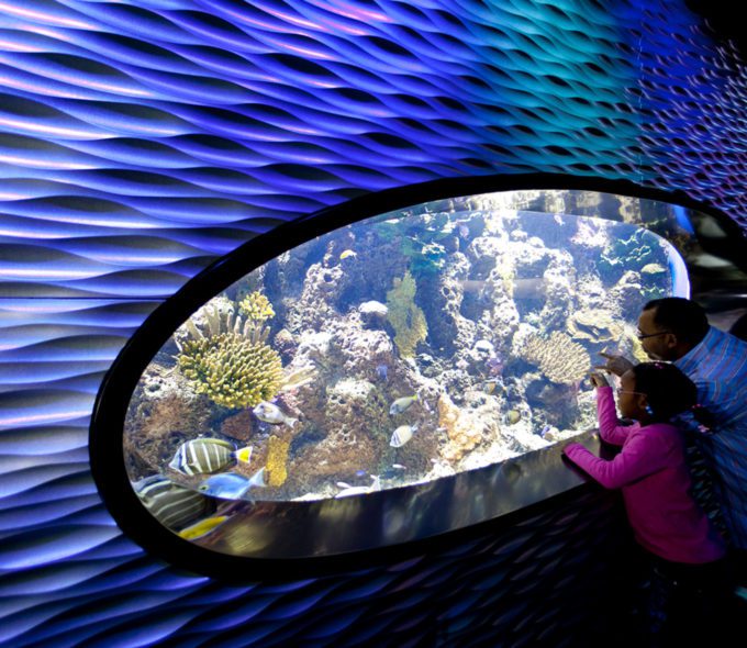 Featured | CambridgeSeven-57