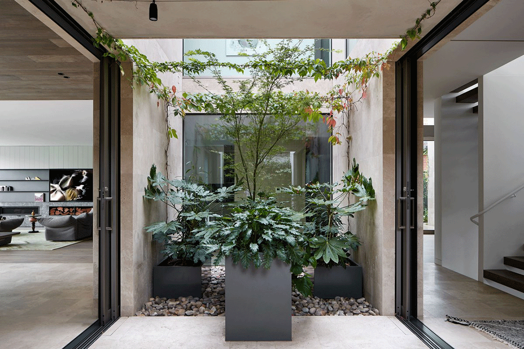 Robson Rak 自然墅居设计丨澳大利亚墨尔本-58