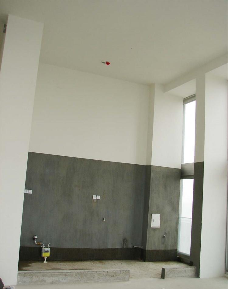 音乐发烧友的理想家居,多功能空间设计-8