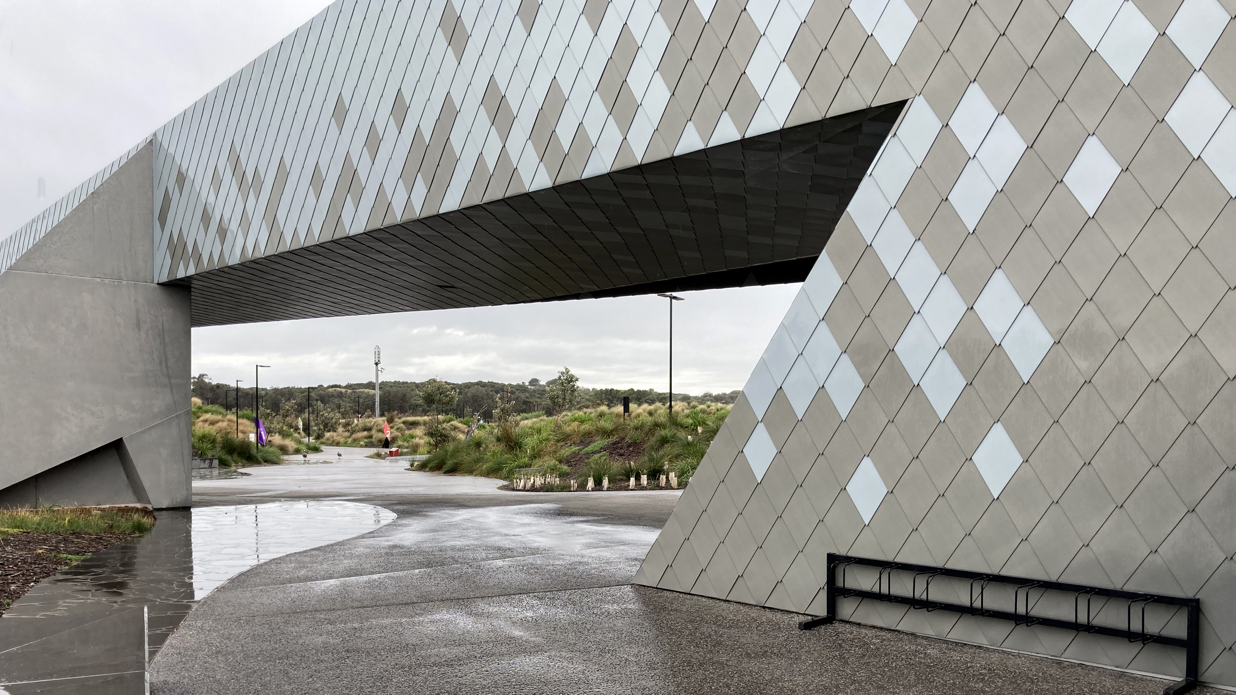 Penguin Parade - shot on iPhone-5