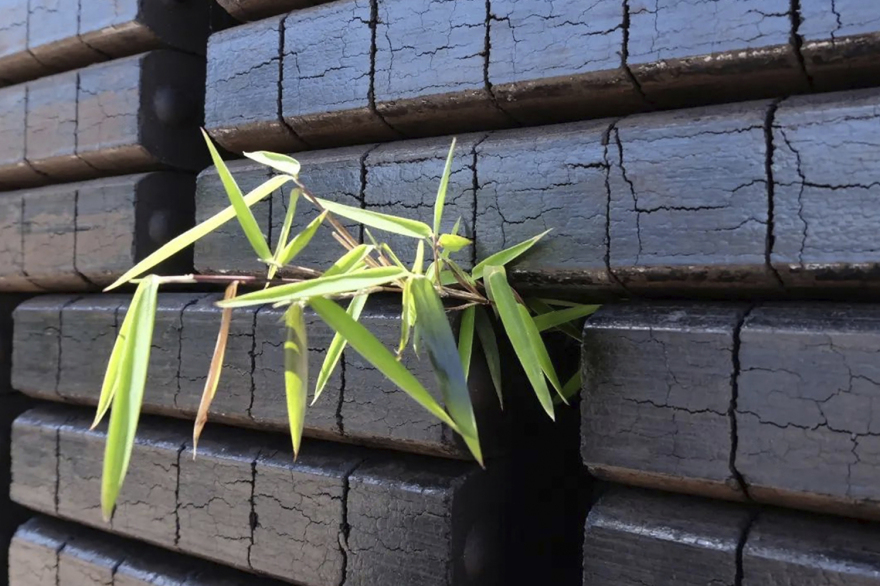 德国卡塞尔煤炭博物馆丨Christoph Hesse Architects-19