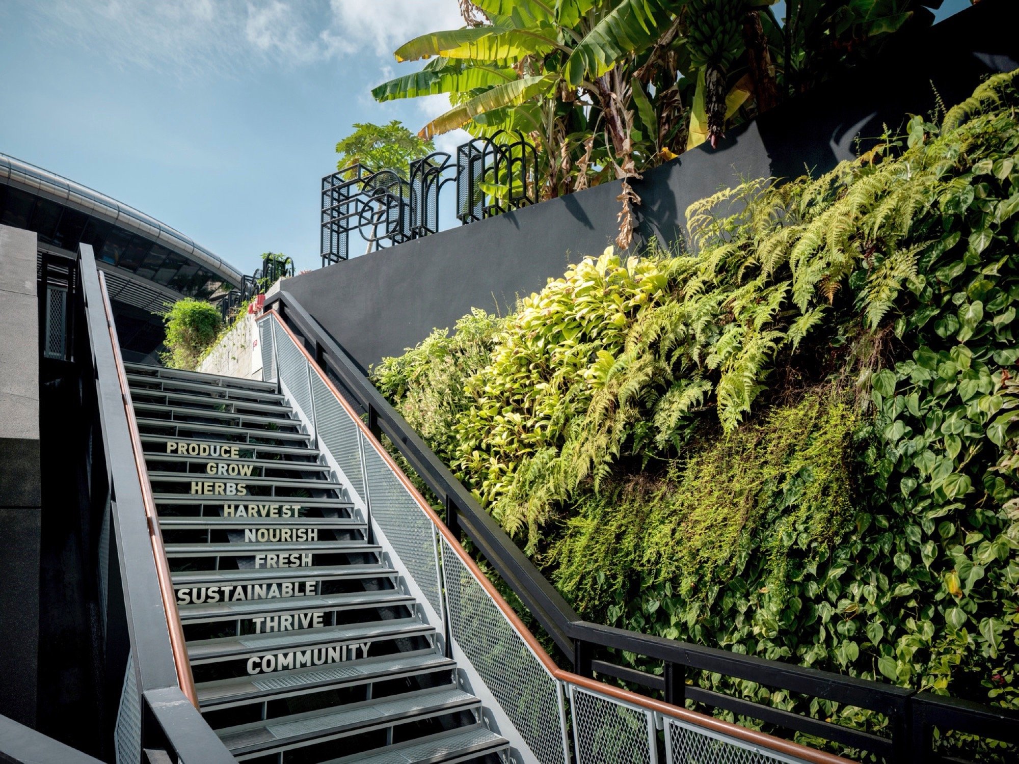 新加坡阜南购物中心周围景观丨grant associates 与 Woods Bagot 合作-13