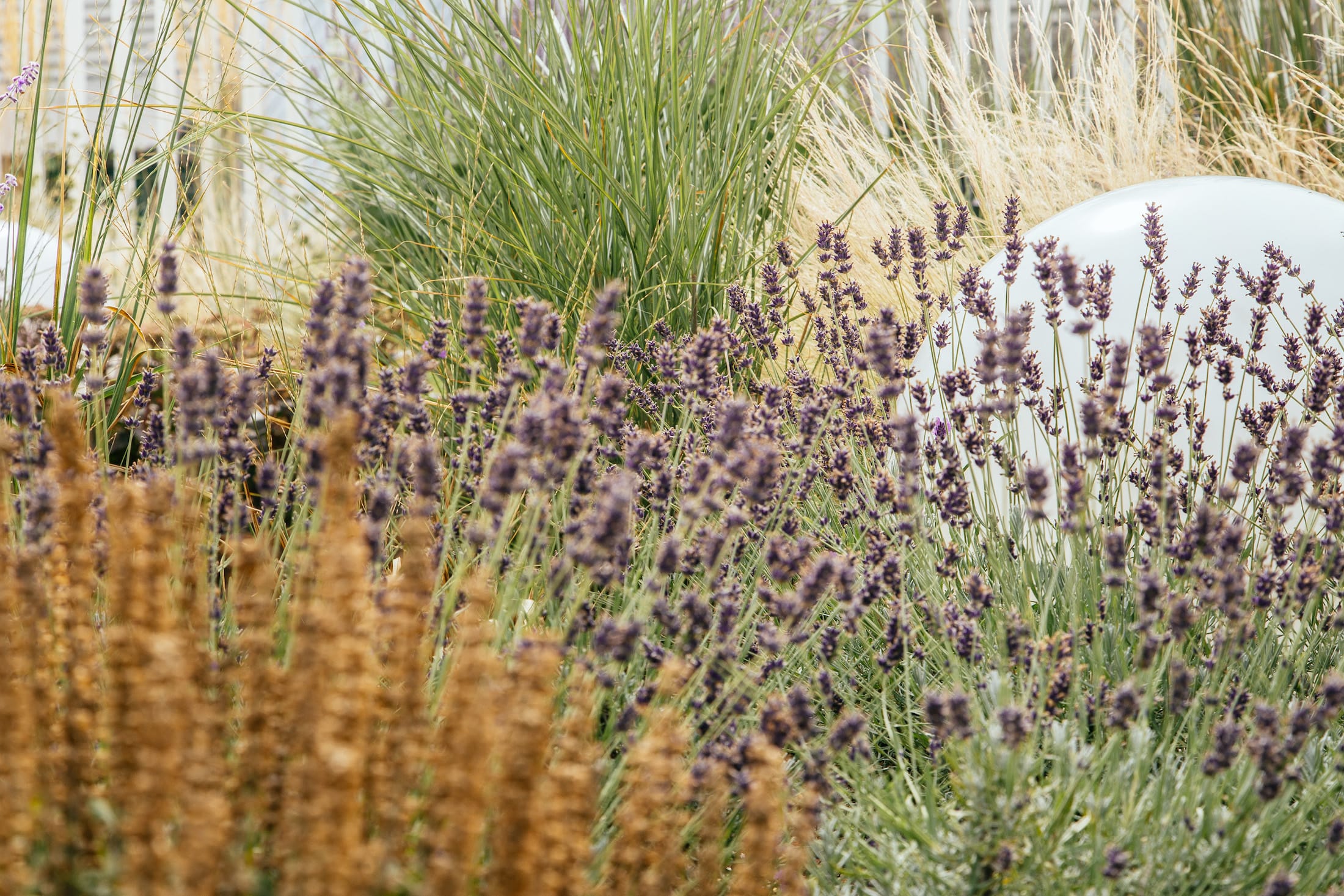 丹麦腓特列斯贝,感官体验治疗屋顶花园-33