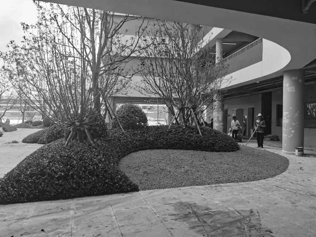 湖南师大附中双语树人学校丨中国长沙丨希尔-80