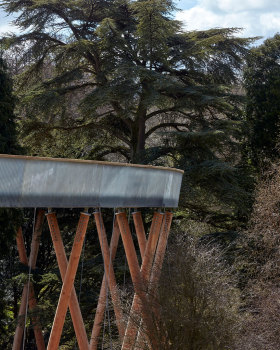 英国最长森林高架通道——westonbirt 植物园观景桥