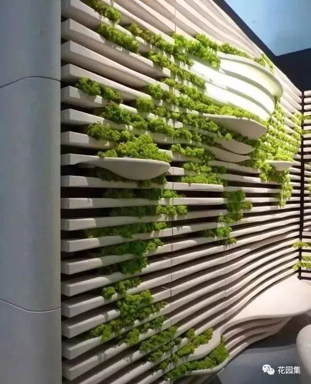 最美不过苔造园,探寻东方庭院的诗意之美-22