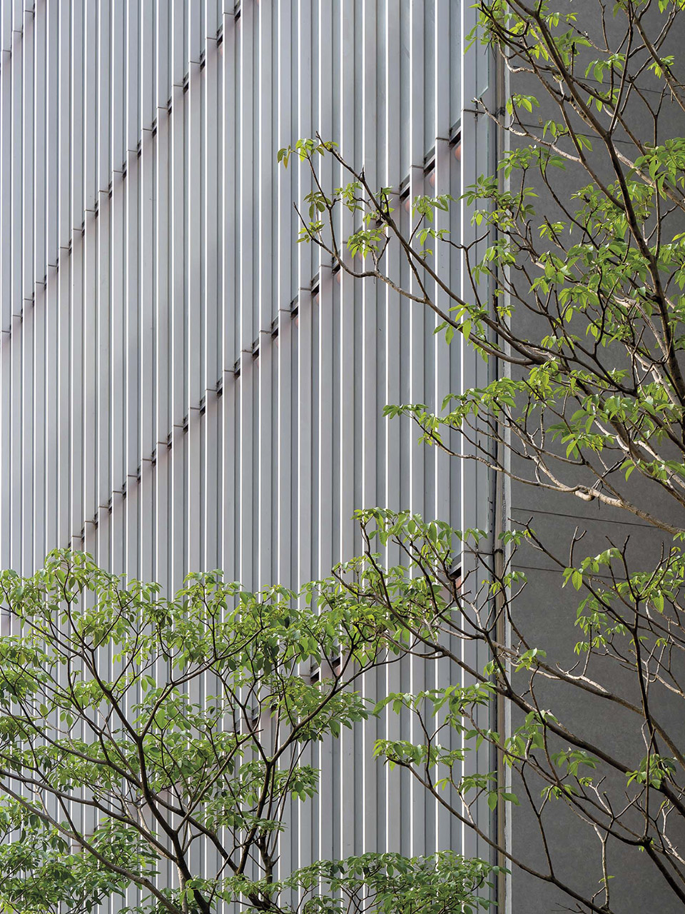 深圳荟同学校丨中国深圳丨伦佐·皮亚诺建筑工作室等-12