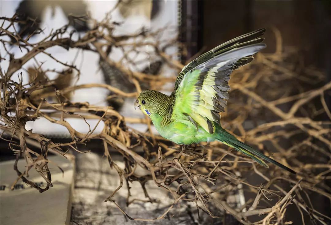 华标峰湖御园·山居墅  C-C壹挚设计-26