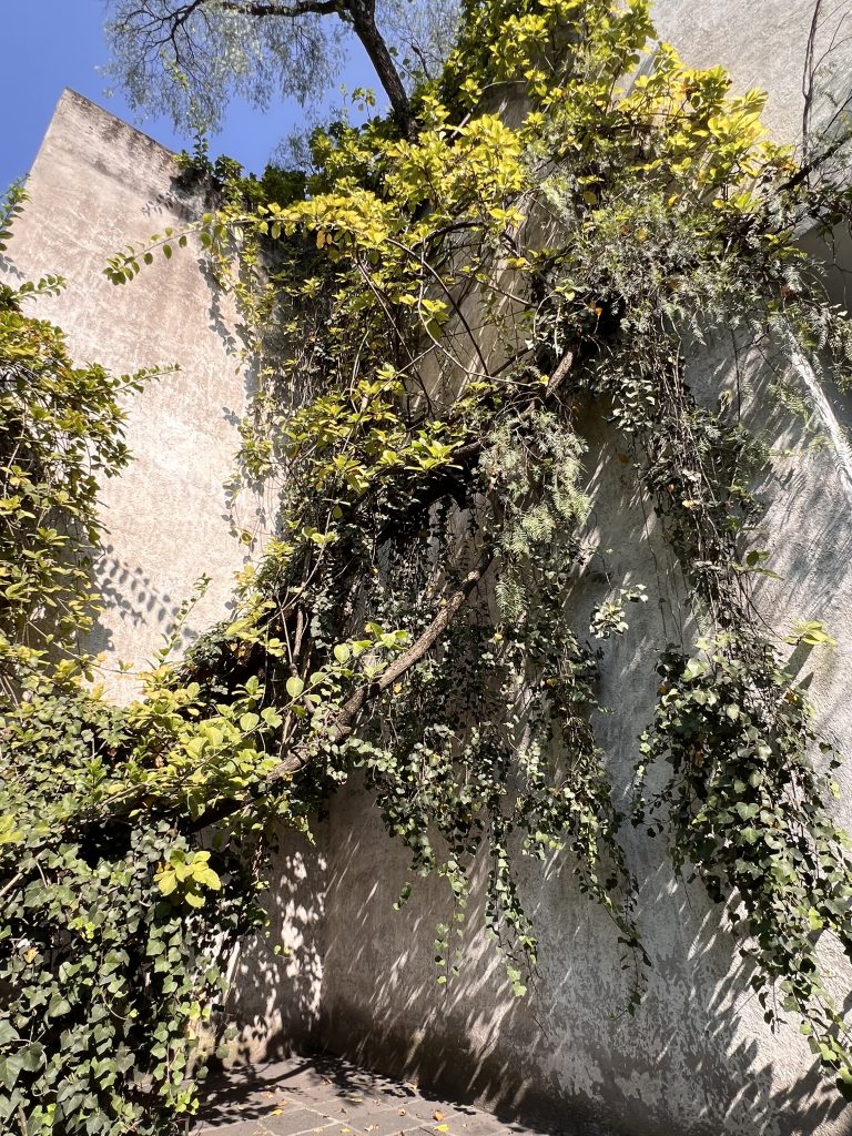 Casa Luis Barragán（路易斯·巴拉干住宅）丨路易斯·巴拉干（建筑师）-46