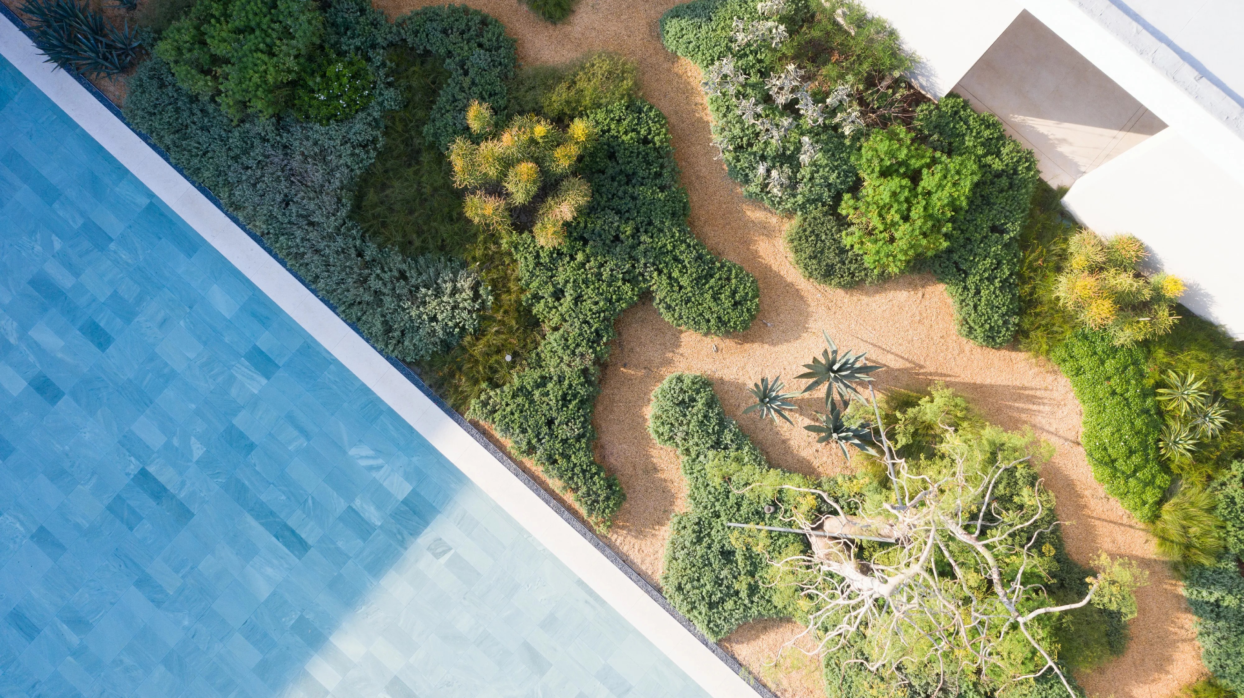 三亚观岚花园:田园理想,自然作画丨中国三亚丨Z’scape致舍景观-37